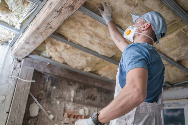Best Eco-Friendly Insulation in Sun City West, AZ