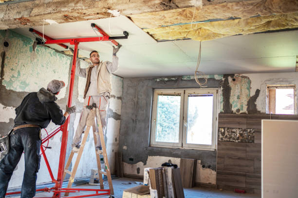 Best Insulation Maintenance and Repair in Sun City West, AZ