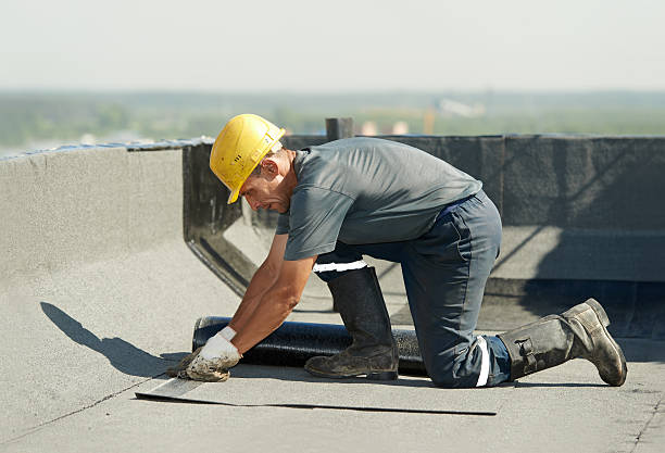 Best Cellulose Insulation in Sun City West, AZ