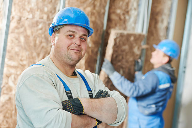 Best Blown-in Insulation in Sun City West, AZ
