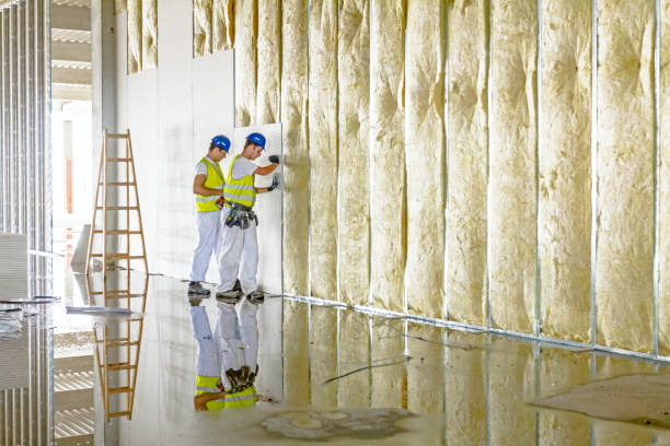 Best Residential Insulation in Sun City West, AZ